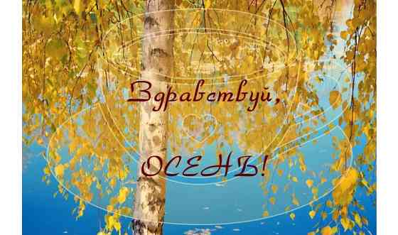 Графический дизайн (открытки, коллажи, посты для соцсетей и веб-сайтов) Алматы