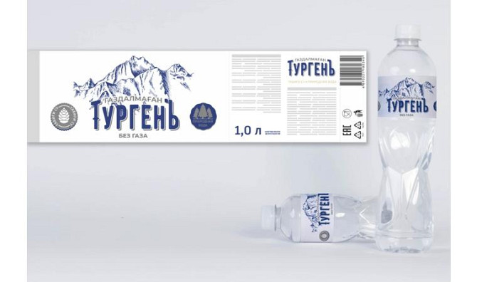 Графический дизайнер: логотипы, буклеты, каталоги, презентации Астана - изображение 4