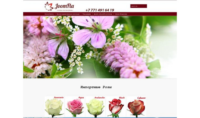 Создание сайтов по доступной цене с Google рекламой     
      Алматы, Коккинаки 5, офис 16 Алматы - изображение 4