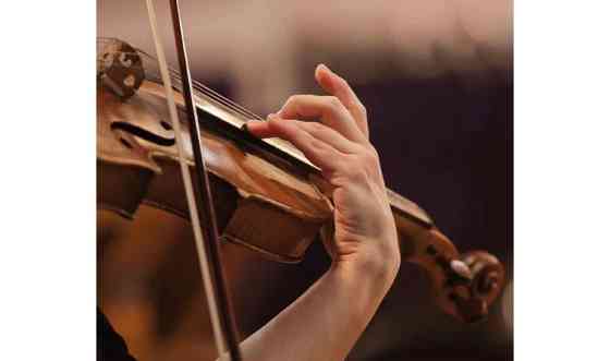 Уроки скрипки Талдыкорган