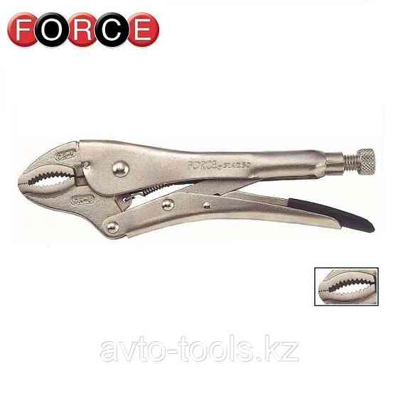 Зажим с фиксатором 250мм FORCE 614250 Almaty