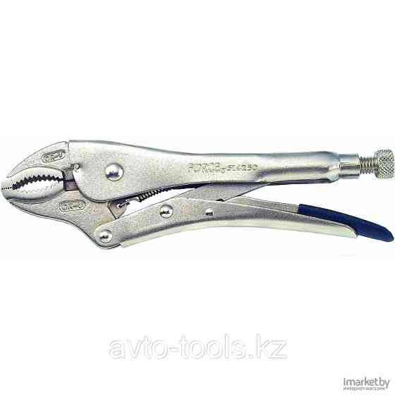 Зажим с фиксатором 250мм FORCE 614250 Almaty