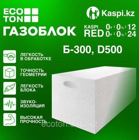 Автоклавный газоблок Экотон 300х250х625 мм Astana