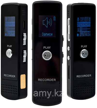 Цифровой диктофон VR250F 8GB Алматы - изображение 4