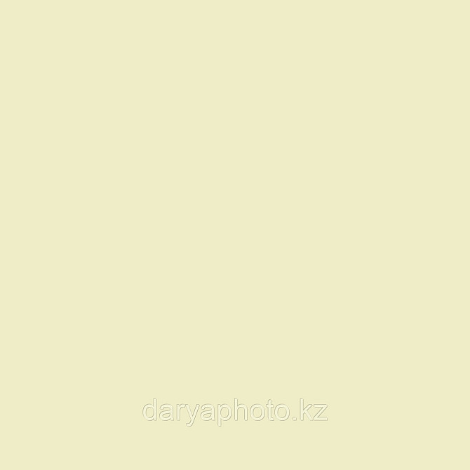 Айвори Фон бумажный. Фотофон 2,75\11м. Фон для фотостудии Almaty - photo 1