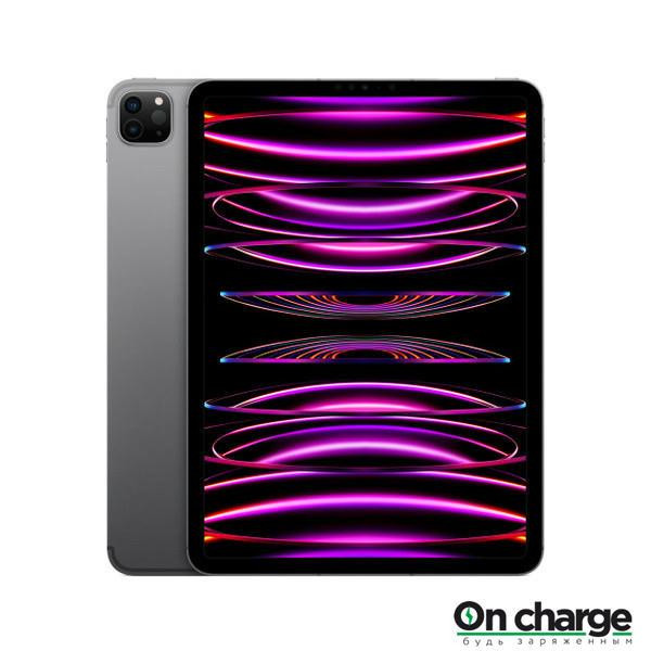 IPad Pro 11" M2 1 TB Wi-Fi + Cellular (Space Gray / Серый космос) Нур-Султан - изображение 1