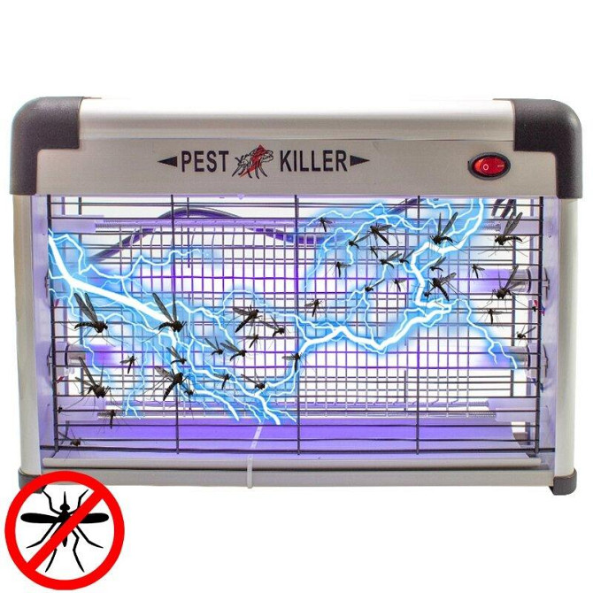 Pest Killer Almaty - photo 1