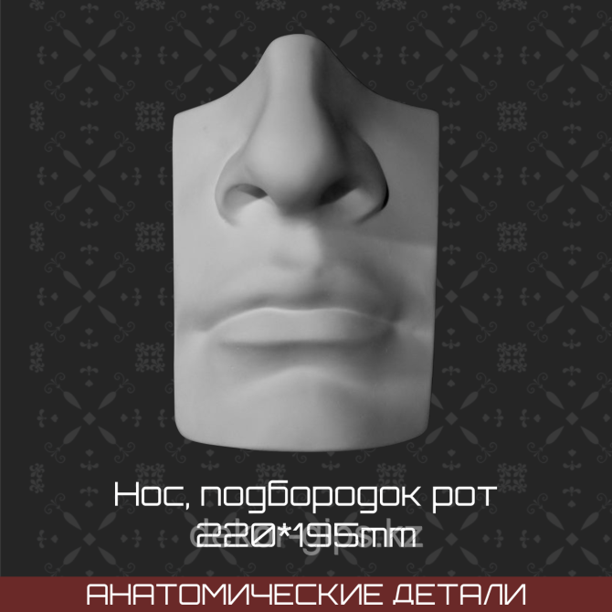 Нос,губы,рот Астана - изображение 1