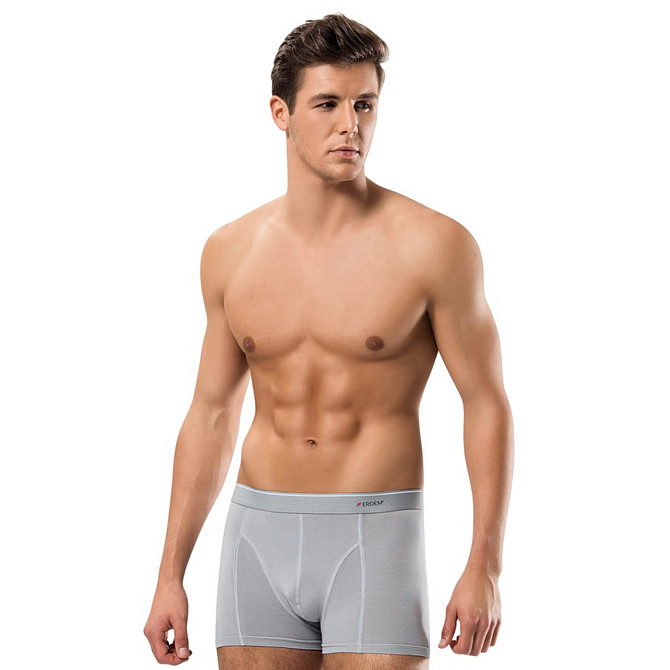 Боксеры мужские* M / 48-50, Серый Астана - изображение 1