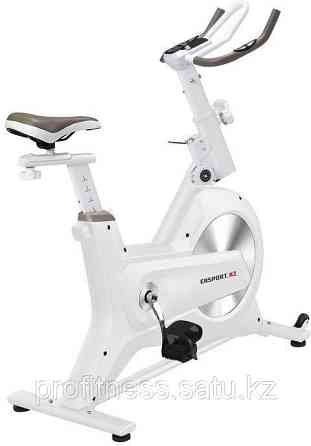 Велотренажер ERSPORT Spin Bike D9 Almaty