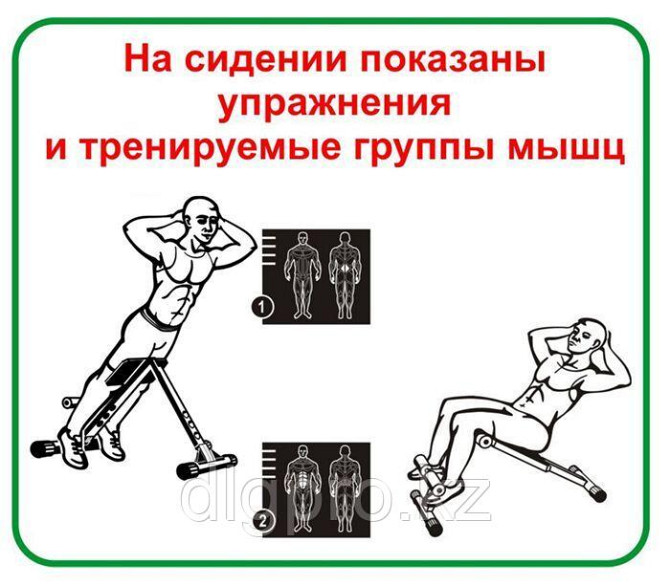 Скамья для пресса и мышц спины 120 кг (Россия) Almaty - photo 4