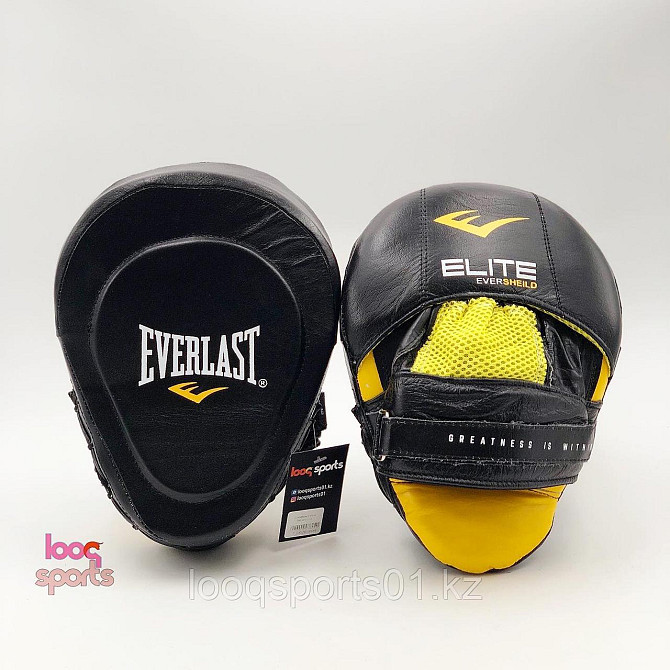 Боксерские лапы (кожа) Everlast Astana - photo 1