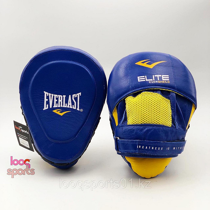 Боксерские лапы (кожа) Everlast Astana - photo 2