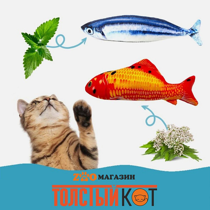 Игрушка для кошек Рыба с кошачьей мятой Астана - изображение 1