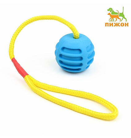 Игрушка для собак Шар усиленный на веревке Астана - изображение 1