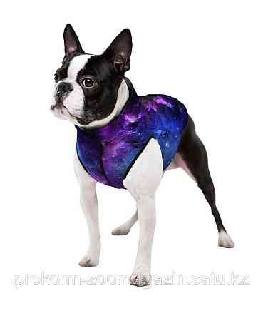 Куртка Waudog Clothes, Nasa21 Astana