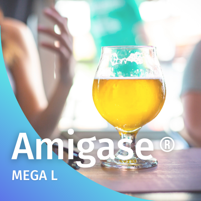 Амилоглюкозидаза для производства спирта и высокосброженного пива AMIGASE® MEGA L Almaty - photo 1