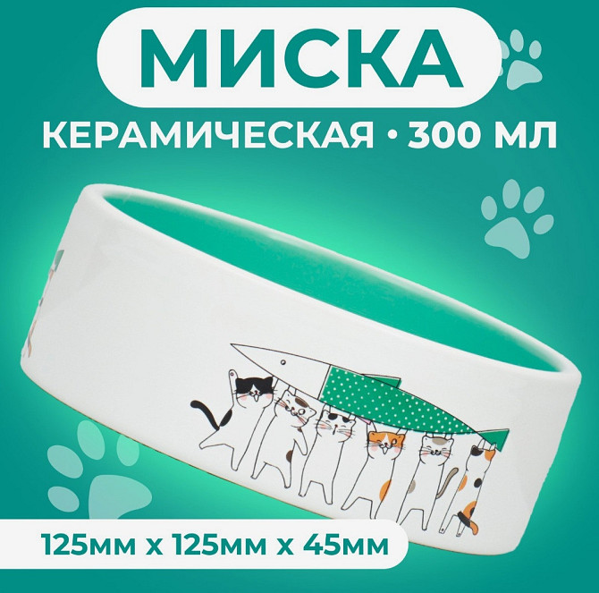 Миска керамика для кошек Любовь и коты Астана - изображение 1