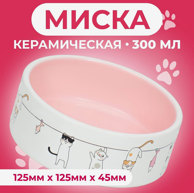 Миска керамическая Веселые котики Астана - изображение 1