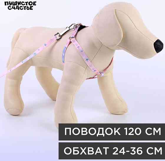 Шлейка с поводком для кошек Ласточки Нур-Султан