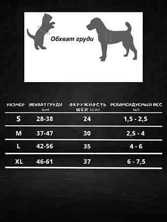 Шлейка с поводком для собак и кошек, размер М Нур-Султан