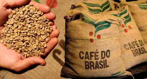 Зеленый кофе Бразилия (Brazil Arabica Coffee, Gosto Do Brazil, NY 2, scr 17-18, ss, fc). Shymkent