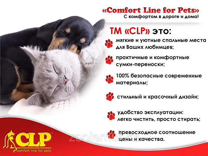 CLP Лежанка квадратная САФАРИ M 50х50х14см Алматы - изображение 2