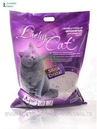 Lucky Cat 22 л. Нур-Султан - изображение 1
