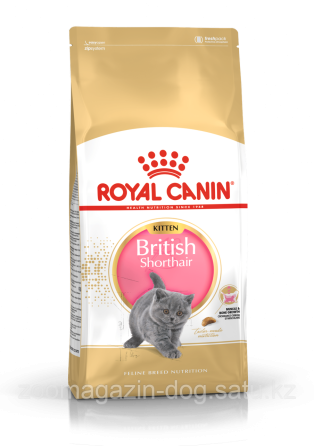 Royal Canin BRITISH SHORTHAIR KITTEN для котят британской породы,2кг Almaty