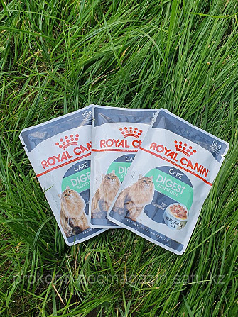 ROYAL CANIN Digest Sensitive ( Роял Канин для кошек с чувствительным пищеварением) в соусе, пауч 85  Нур-Султан - изображение 1