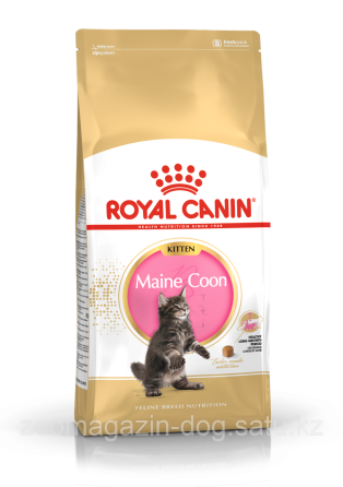Royal Canin MAINE COON KITTEN для котят породы Мейн Кун ,2кг Almaty
