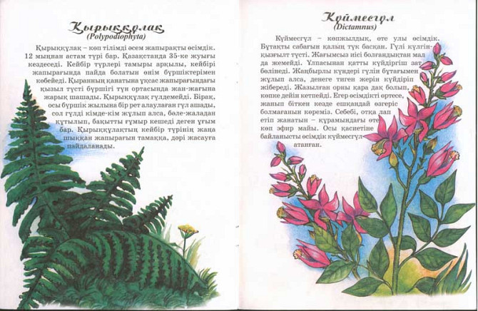 Книга: А вы знали? Qazaqstan ösımdıkterı на каз. яз (Растения Казахстана) | Аруна Баспасы Алматы - изображение 2