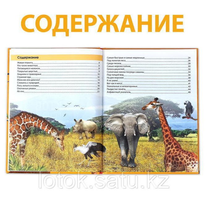 Энциклопедия «200 фактов о животных», 48 стр. Almaty - photo 4