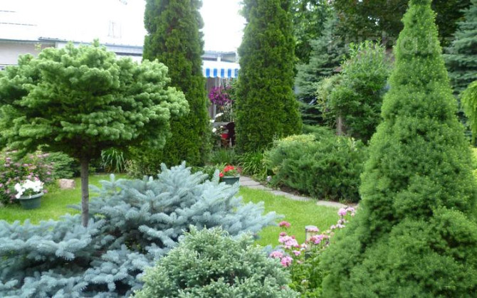 1-комнатный дом посуточно, 40 м², Ватутина 15 / Доватора Almaty - photo 1