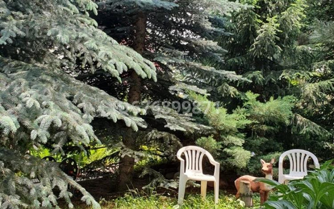 3-комнатный дом долгосрочно, 120 м², 10 соток, Рыскулова 9 Рыскулово - photo 3