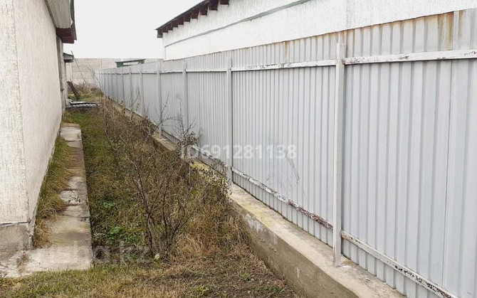 2-комнатный дом продажа, 60 м², 10 соток, Думан 23 - Береке Кызыл ту-4 - photo 8