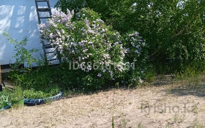 3-комнатный дом продажа, 66 м², 16 соток, Алтай 8 Самарское - изображение 5