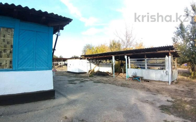 7-комнатный дом продажа, 250 м², 29 соток, ул. розыбакиев Каратурук - изображение 8