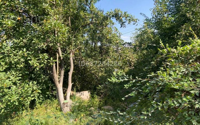 3-комнатный дом продажа, 72 м², 19 соток, Сат Момбай 2 Турген - photo 6