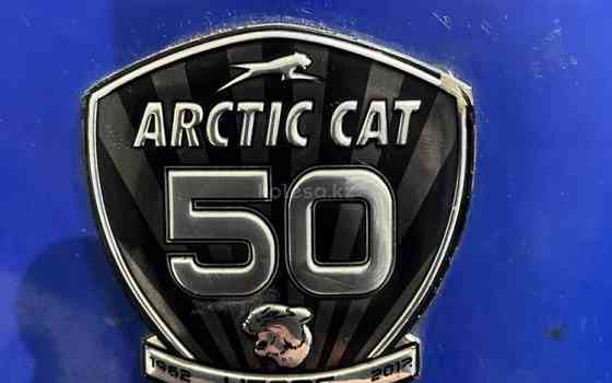 Arctic cat Bearcat TX 570 2012 г. Актобе