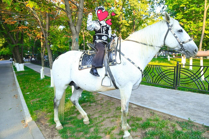 продам коня Алматы - изображение 2