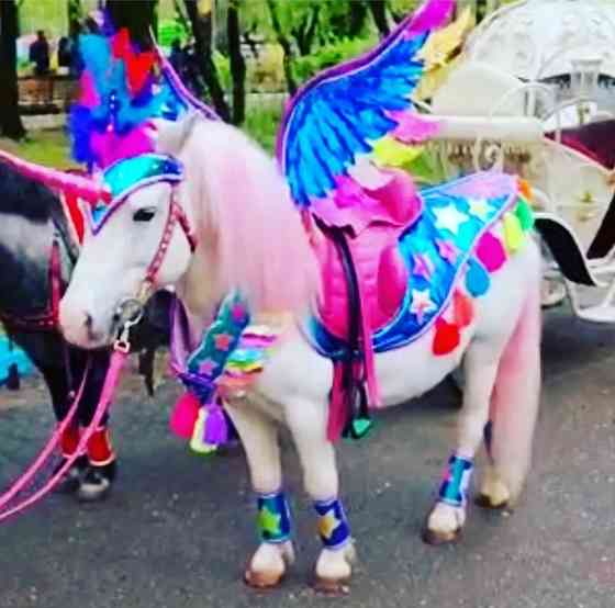новогодняя маленькая лошадка пони Алматы