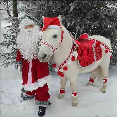 новогодняя маленькая лошадка пони Алматы