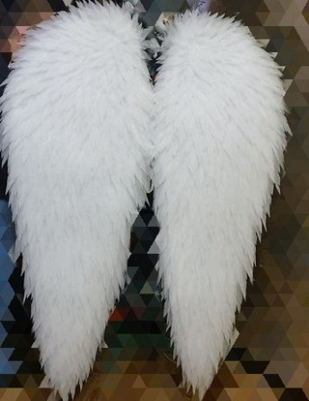 крылья ангела Алматы - изображение 1