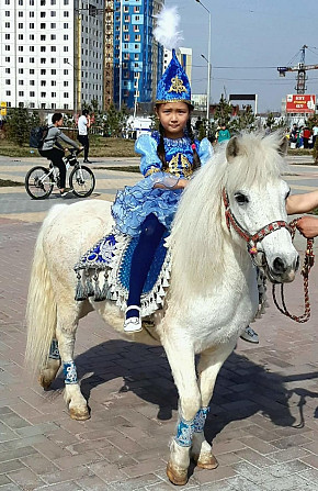 пони, конь, лошадь Алматы - изображение 2
