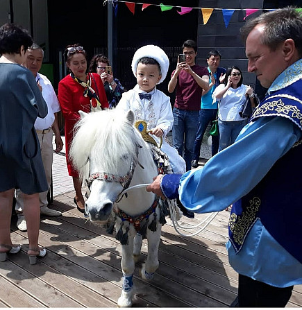 пони, конь, лошадь Almaty - photo 3