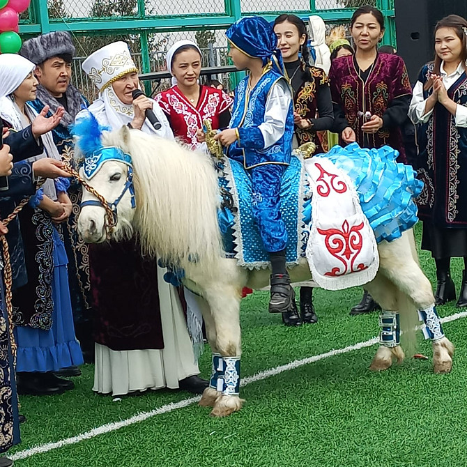 пони, конь, лошадь Алматы - изображение 1