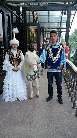 пони, конь, лошадь Almaty - photo 4