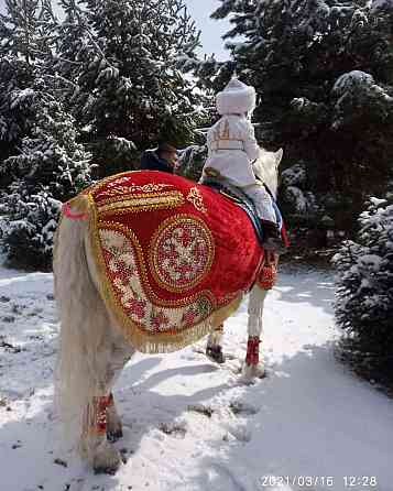 Наурыз, кони, ведущие Almaty