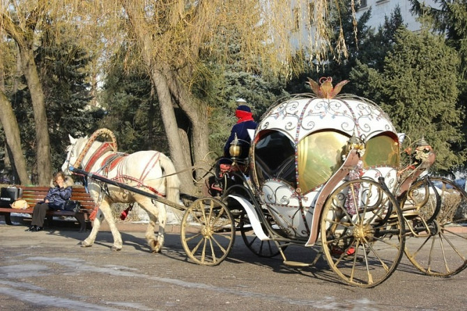 карета в Алматы Алматы - изображение 1